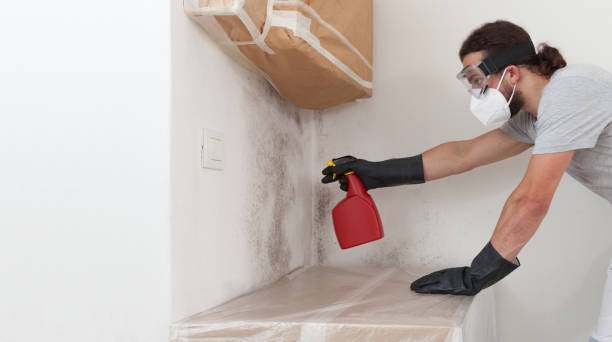 Professional Mold Remediation technician working in Massapequa Park, NY